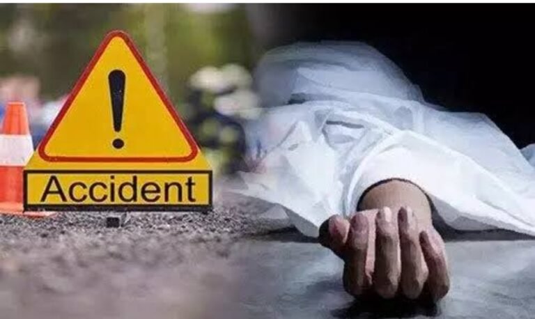 मिर्ची बैंगन से भरा लोडिंग पलटा हादसे में 1 की मौत 3 घायल