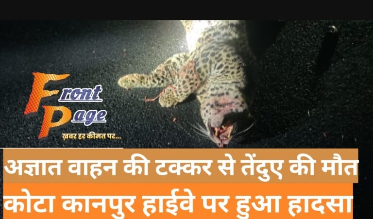 सड़क पार करते समय तेंदुए की हुई मौत,अज्ञात वाहन ने मारी टक्कर