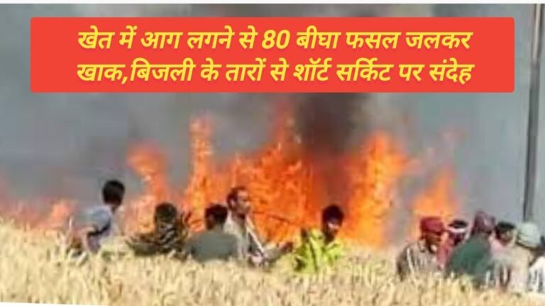 खेत  में 80 बीघा में खड़ी फसल जलकर।खाक, बिजली के तारों से शार्ट सर्किट सर्किट का संदेह