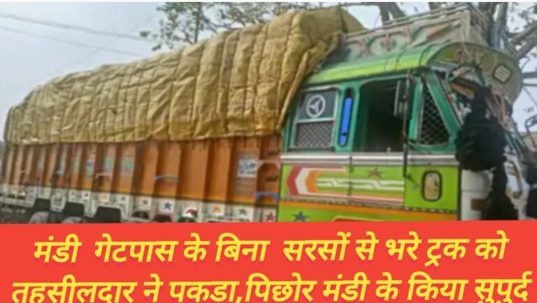 बिना मंडी  गेटपास के   सरसों से भरे ट्रक को नायब तहसीलदार ने पकड़ा,पिछोर मंडी के किया सुपुर्द