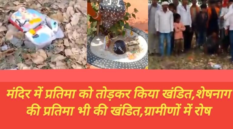मंदिर में प्रतिमा को तोड़कर किया खंडित,शेषनाग की प्रतिमा भी की खंडित,ग्रामीणों में रोष