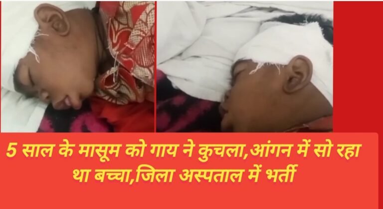 5 साल के मासूम को गाय ने कुचला,आंगन में सो रहा था बच्चा,जिला अस्पताल में भर्ती
