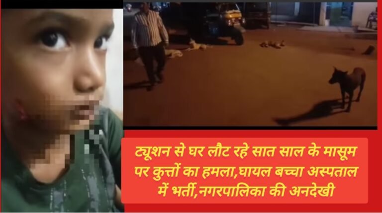 ट्यूशन से घर लौट रहे सात साल के मासूम पर कुत्तों का हमला,घायल बच्चा अस्पताल में भर्ती,नगरपालिका की अनदेखी
