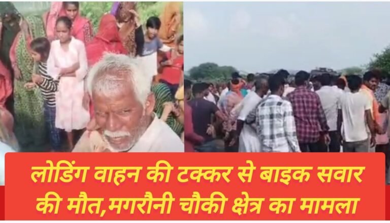 लोडिंग वाहन की टक्कर से बाइक सवार की मौत,मगरौनी चौकी क्षेत्र का मामला