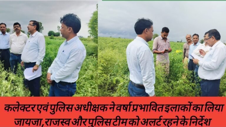 कलेक्टर एवं पुलिस अधीक्षक ने वर्षा प्रभावित इलाकों का लिया जायजा,राजस्व और पुलिस टीम को अलर्ट रहने के निर्देश 