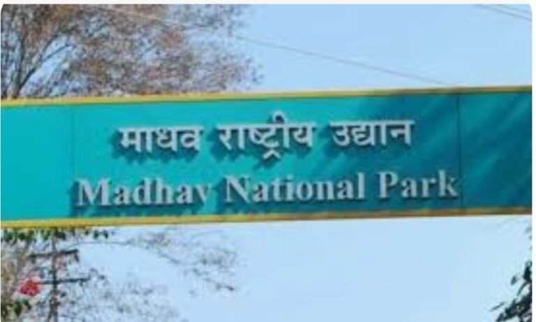 पर्यटकों के भ्रमण के लिए कल  से खुलेगा नेशनल पार्क,टाइगर सफारी और सेलिंग क्लब का कर सकेंगे भ्रमण