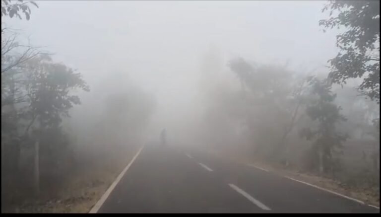 तापमान में आई गिरावट,ठंड का बढ़ रहा प्रकोप,ठंड से बचने के लिए अलाव का सहारा