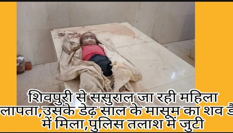 बच्चे के साथ महिला ने डैम में कूदी,उसके डेढ़ साल के मासूम का शव डैम में मिला,पुलिस तलाश में जुटी